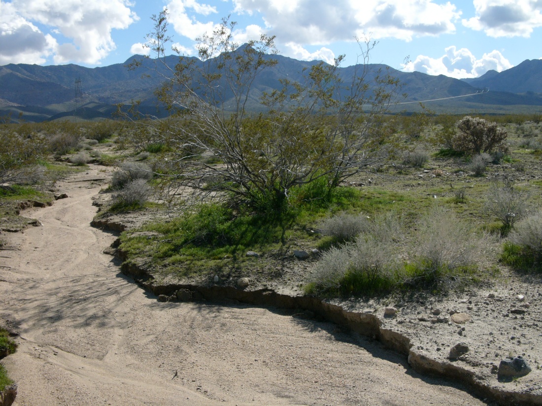 Dry_river_bed_in_California